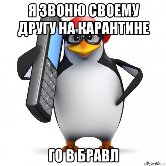 я звоню своему другу на карантине го в бравл, Мем   Пингвин звонит