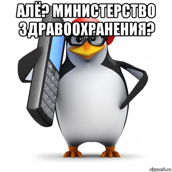 алё? министерство здравоохранения? , Мем   Пингвин звонит