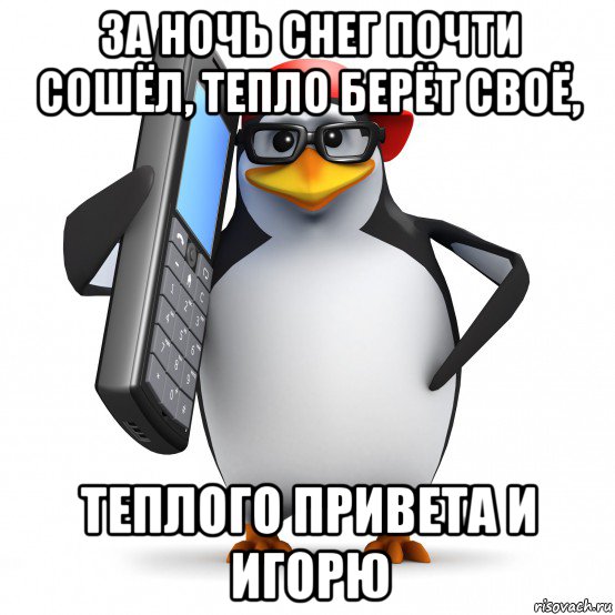 за ночь снег почти сошёл, тепло берёт своё, теплого привета и игорю, Мем   Пингвин звонит