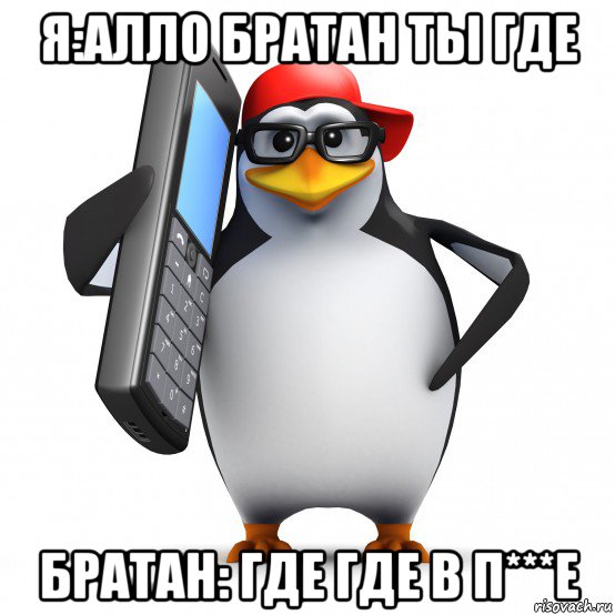 я:алло братан ты где братан: где где в п***е, Мем   Пингвин звонит