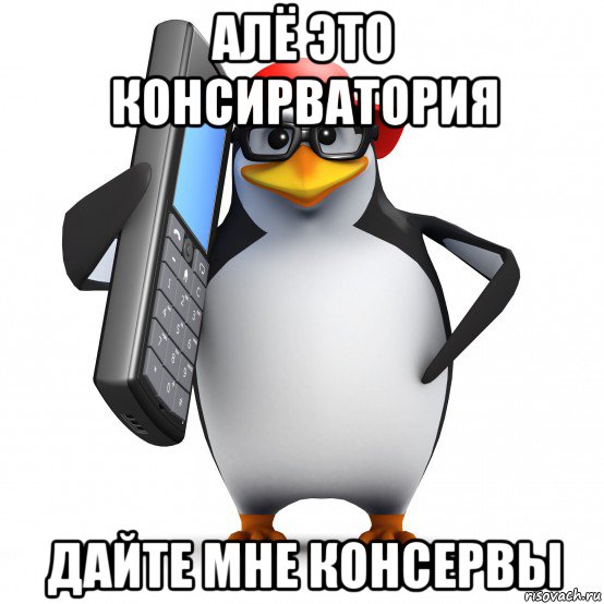 алё это консирватория дайте мне консервы, Мем   Пингвин звонит