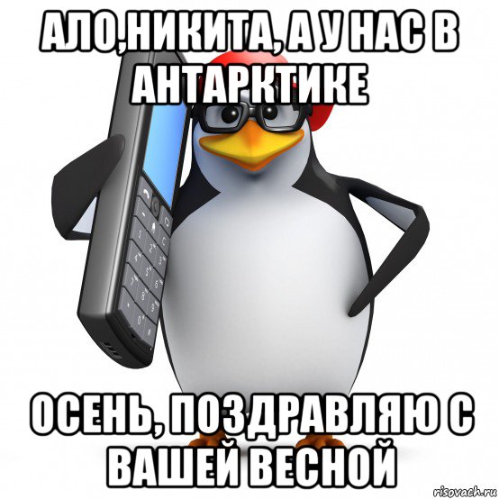 ало,никита, а у нас в антарктике осень, поздравляю с вашей весной, Мем   Пингвин звонит