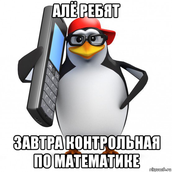 алё ребят завтра контрольная по математике, Мем   Пингвин звонит