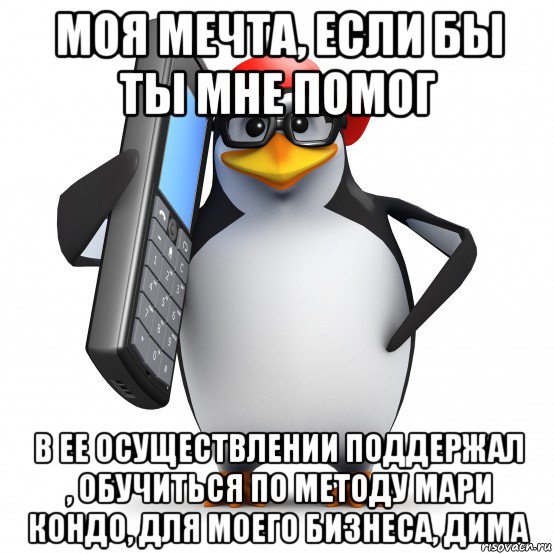 моя мечта, если бы ты мне помог в ее осуществлении поддержал , обучиться по методу мари кондо, для моего бизнеса, дима, Мем   Пингвин звонит