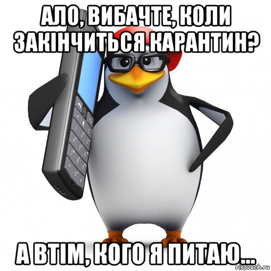 ало, вибачте, коли закінчиться карантин? а втім, кого я питаю..., Мем   Пингвин звонит