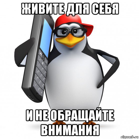 живите для себя и не обращайте внимания, Мем   Пингвин звонит