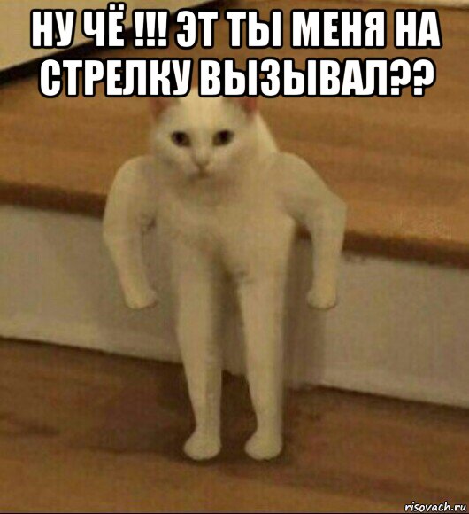 ну чё !!! эт ты меня на стрелку вызывал?? , Мем  Полукот