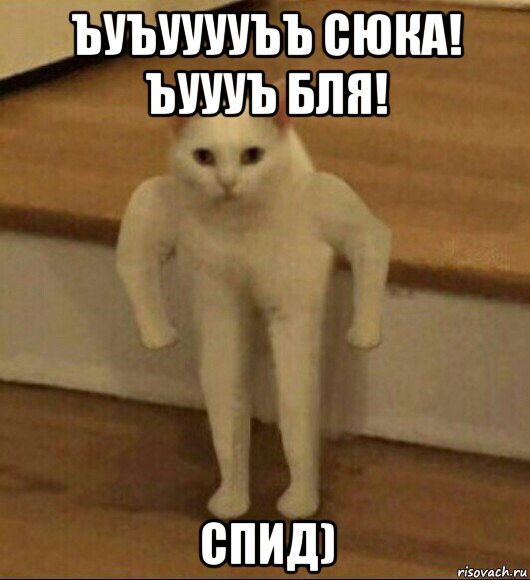 ъуъууууъъ сюка! ъуууъ бля! спид), Мем  Полукот