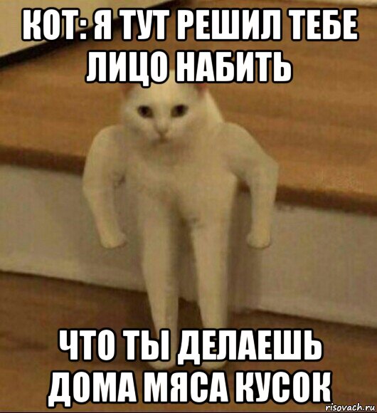 кот: я тут решил тебе лицо набить что ты делаешь дома мяса кусок, Мем  Полукот