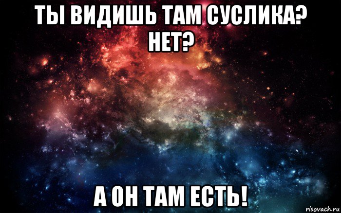 ты видишь там суслика? нет? а он там есть!