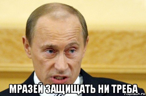  мразей защищать ни треба, Мем путин