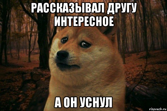 рассказывал другу интересное а он уснул, Мем SAD DOGE