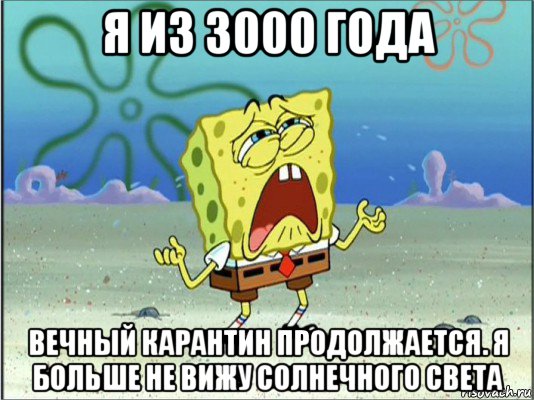 я из 3000 года вечный карантин продолжается. я больше не вижу солнечного света