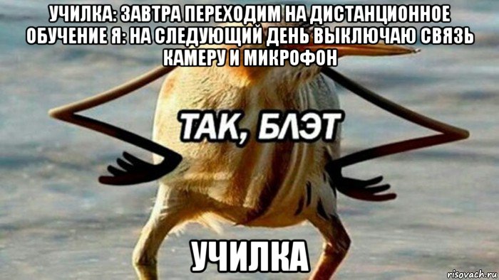 училка: завтра переходим на дистанционное обучение я: на следующий день выключаю связь камеру и микрофон училка, Мем  Так блэт