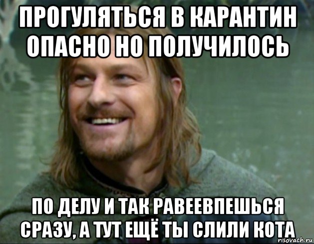 прогуляться в карантин опасно но получилось по делу и так равеевпешься сразу, а тут ещё ты слили кота, Мем Тролль Боромир