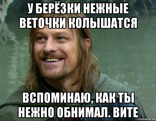 у берёзки нежные веточки колышатся вспоминаю, как ты нежно обнимал. вите, Мем Тролль Боромир