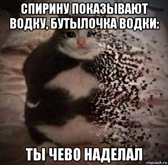 спирину показывают водку, бутылочка водки: ты чево наделал, Мем Ты чево наделал