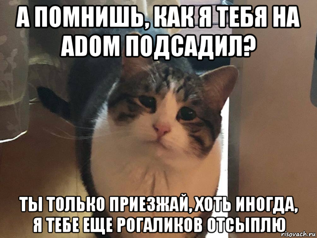 а помнишь, как я тебя на adom подсадил? ты только приезжай, хоть иногда, я тебе еще рогаликов отсыплю, Мем Ты только приезжай хоть иногда