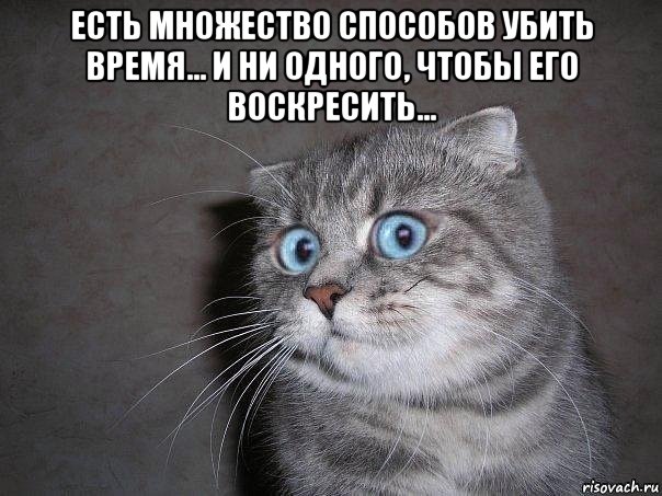 есть множество способов убить время... и ни одного, чтобы его воскресить... , Мем  удивлённый кот