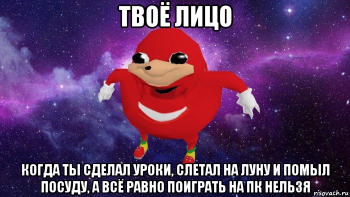 твоё лицо когда ты сделал уроки, слетал на луну и помыл посуду, а всё равно поиграть на пк нельзя