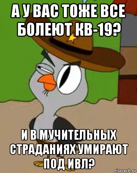 а у вас тоже все болеют кв-19? и в мучительных страданиях умирают под ивл?, Мем    Упоротая сова