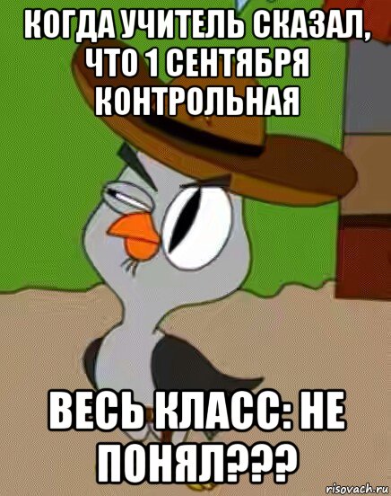 когда учитель сказал, что 1 сентября контрольная весь класс: не понял???, Мем    Упоротая сова