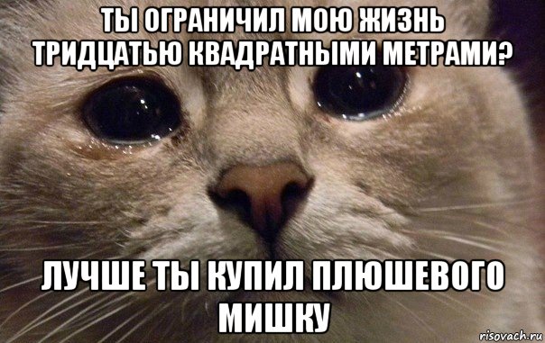 ты ограничил мою жизнь тридцатью квадратными метрами? лучше ты купил плюшевого мишку