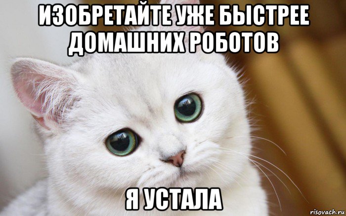 изобретайте уже быстрее домашних роботов я устала, Мем  В мире грустит один котик