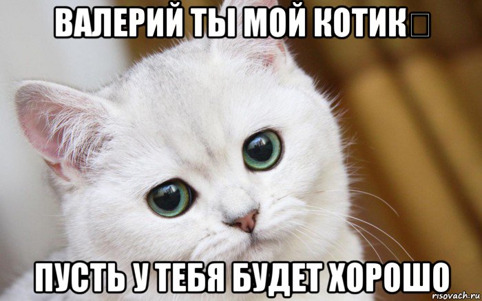 валерий ты мой котик❤ пусть у тебя будет хорошо