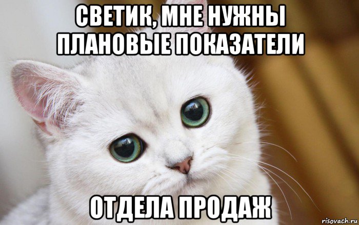 светик, мне нужны плановые показатели отдела продаж, Мем  В мире грустит один котик