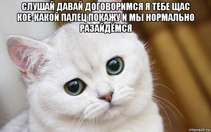 слушай давай договоримся я тебе щас кое-какой палец покажу и мы нормально разайдёмся , Мем  В мире грустит один котик