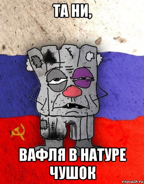 та ни, вафля в натуре чушок, Мем Ватник