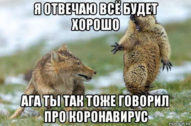 я отвечаю всё будет хорошо ага ты так тоже говорил про коронавирус, Мем Волк и суслик