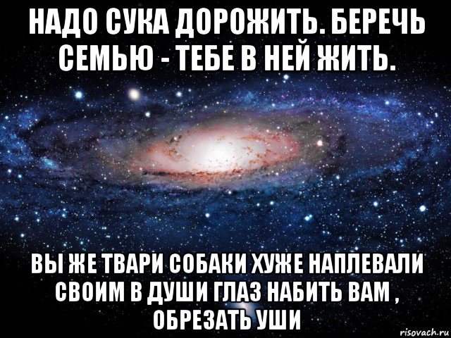 надо сука дорожить. беречь семью - тебе в ней жить. вы же твари собаки хуже наплевали своим в души глаз набить вам , обрезать уши, Мем Вселенная