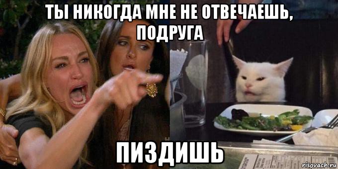 ты никогда мне не отвечаешь, подруга пиздишь, Мем Женщина орёт на кота