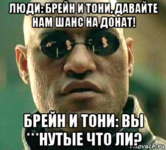 люди: брейн и тони, давайте нам шанс на донат! брейн и тони: вы ***нутые что ли?