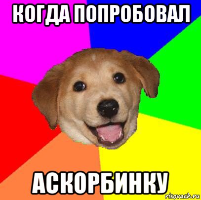 когда попробовал аскорбинку, Мем Advice Dog