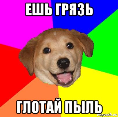 ешь грязь глотай пыль, Мем Advice Dog