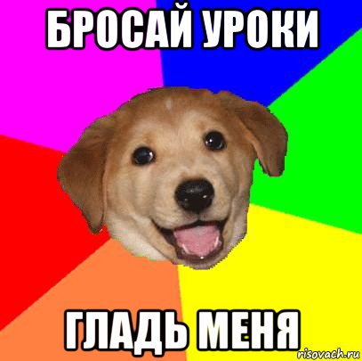 бросай уроки гладь меня, Мем Advice Dog