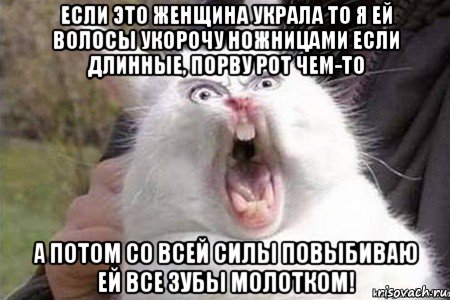 если это женщина украла то я ей волосы укорочу ножницами если длинные, порву рот чем-то а потом со всей силы повыбиваю ей все зубы молотком!