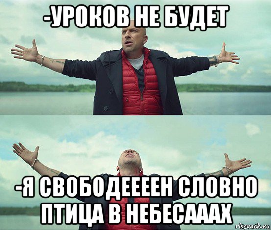 -уроков не будет -я свободеееен словно птица в небесааах, Мем Безлимитище