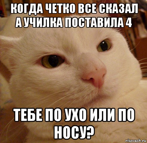 когда четко все сказал а училка поставила 4 тебе по ухо или по носу?, Мем Дерзкий котэ