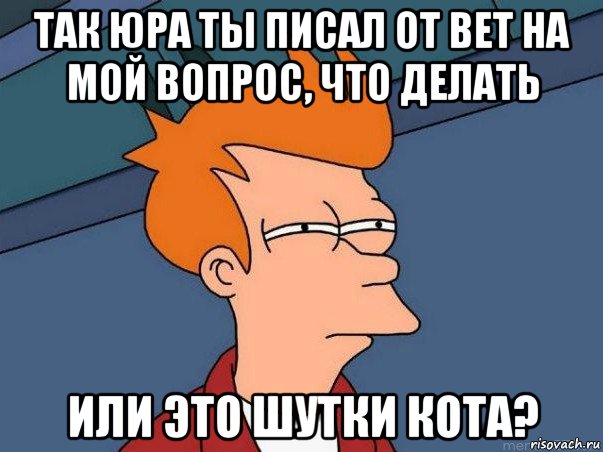 так юра ты писал от вет на мой вопрос, что делать или это шутки кота?, Мем  Фрай (мне кажется или)