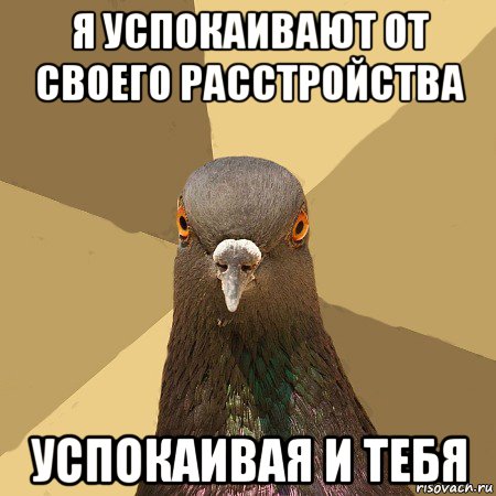 я успокаивают от своего расстройства успокаивая и тебя, Мем голубь