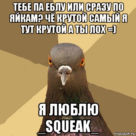 тебе па еблу или сразу по яйкам? чё крутой самый я тут крутой а ты лох =) я люблю _squeak_, Мем голубь