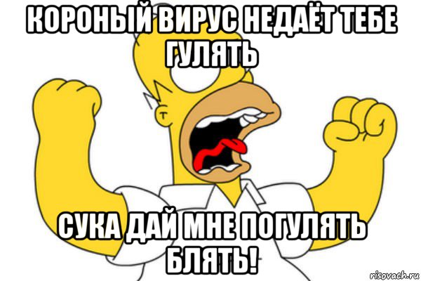 короный вирус недаёт тебе гулять сука дай мне погулять блять!