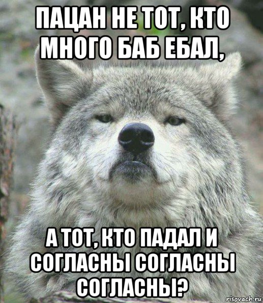 пацан не тот, кто много баб ебал, а тот, кто падал и согласны согласны согласны?, Мем    Гордый волк