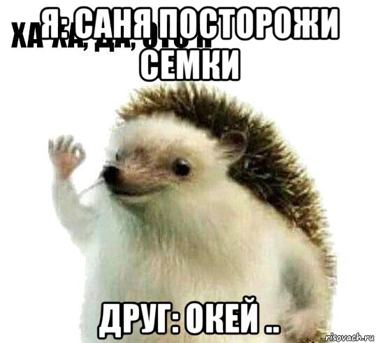 я: саня посторожи семки друг: окей ..