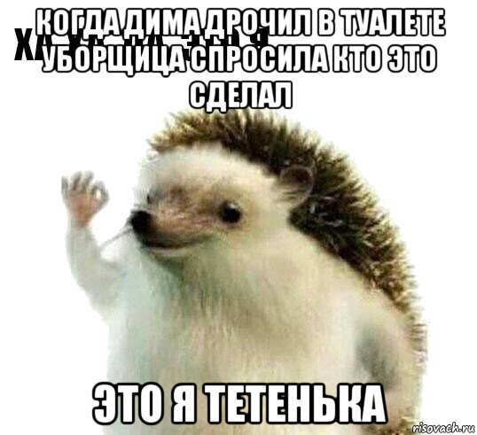 когда дима дрочил в туалете уборщица спросила кто это сделал это я тетенька, Мем Ха-ха да это я