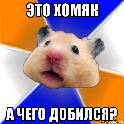 это хомяк а чего добился?